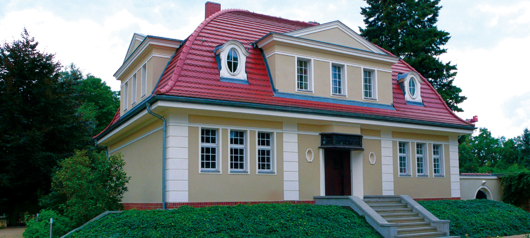 Bienestar & Ambiente